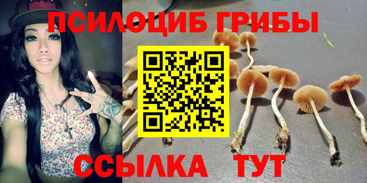 Псилоцибиновые грибы MAGIC MUSHROOMS Верхняя Салда