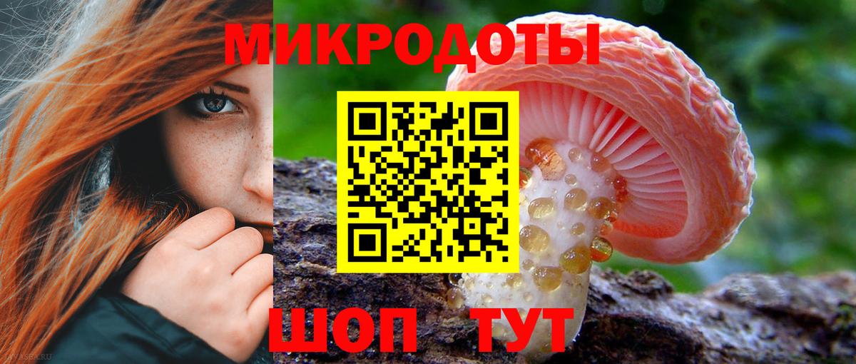 Галлюциногенные грибы Psilocybe  Вход с VPN  Верхняя Салда 